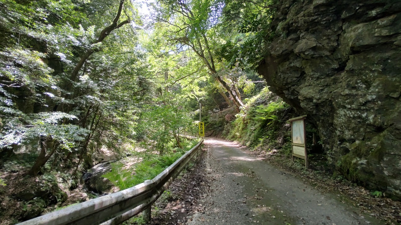 f:id:sugimoto2025:20260517120350j:image