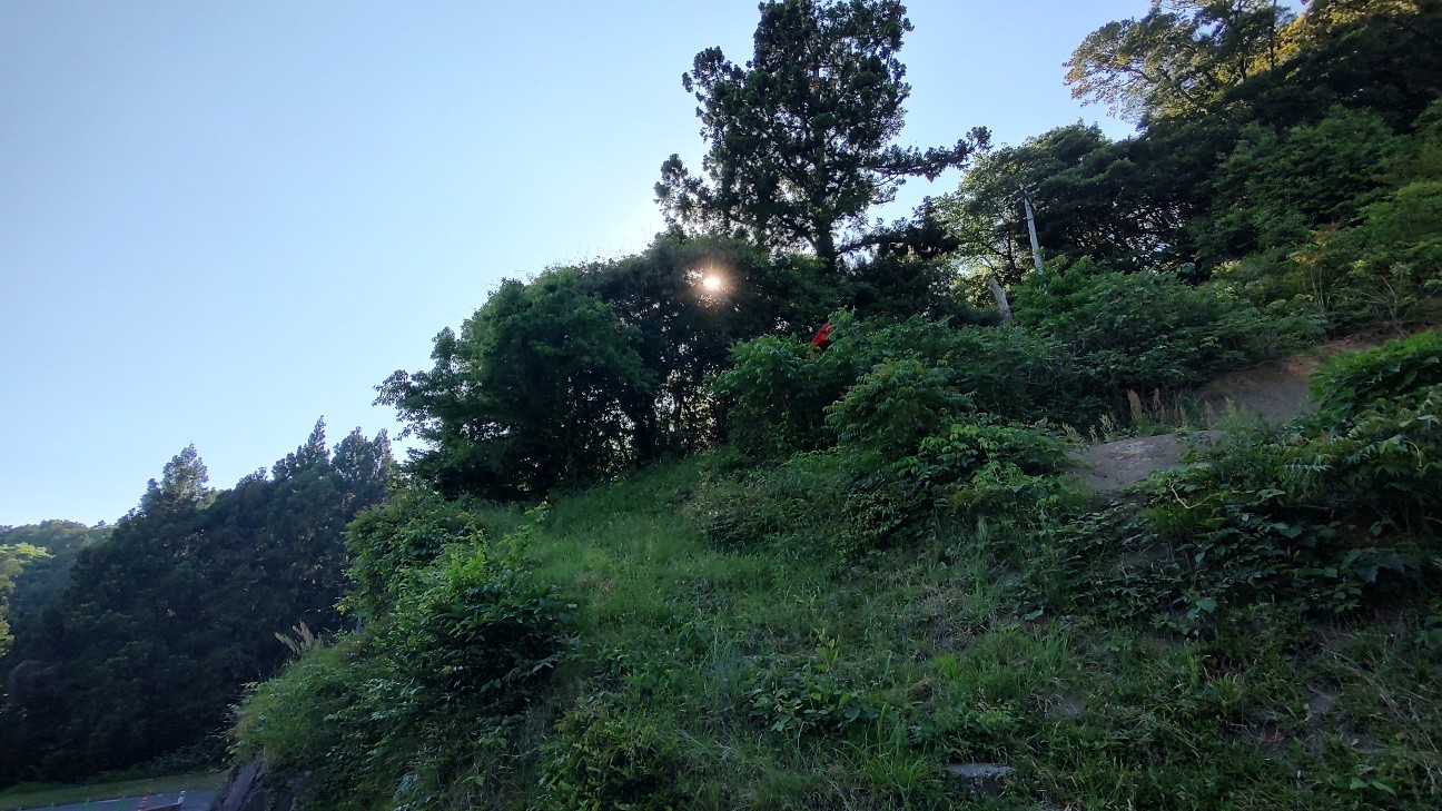 f:id:sugimoto2025:20260517120412j:image
