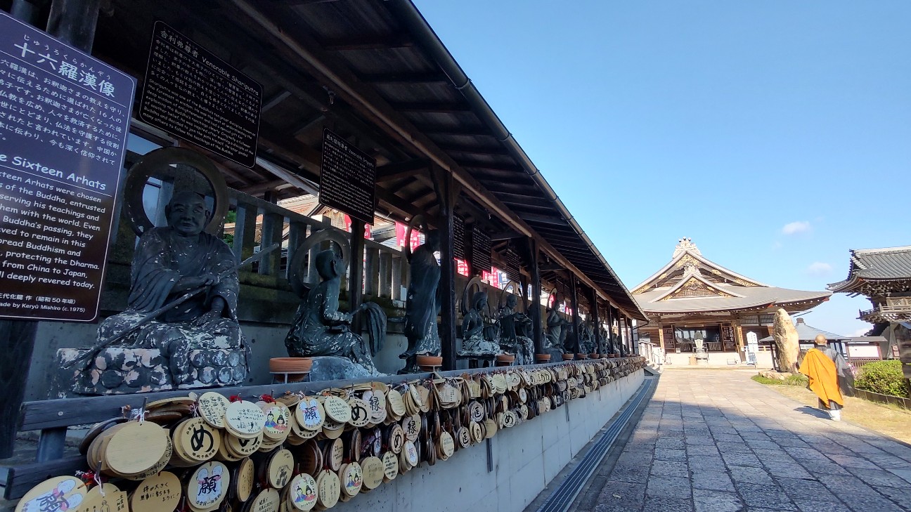f:id:sugimoto2025:20260517120415j:image