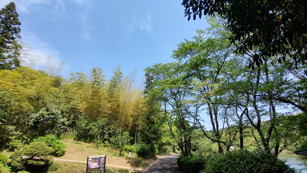 f:id:sugimoto2025:20260517120809j:image