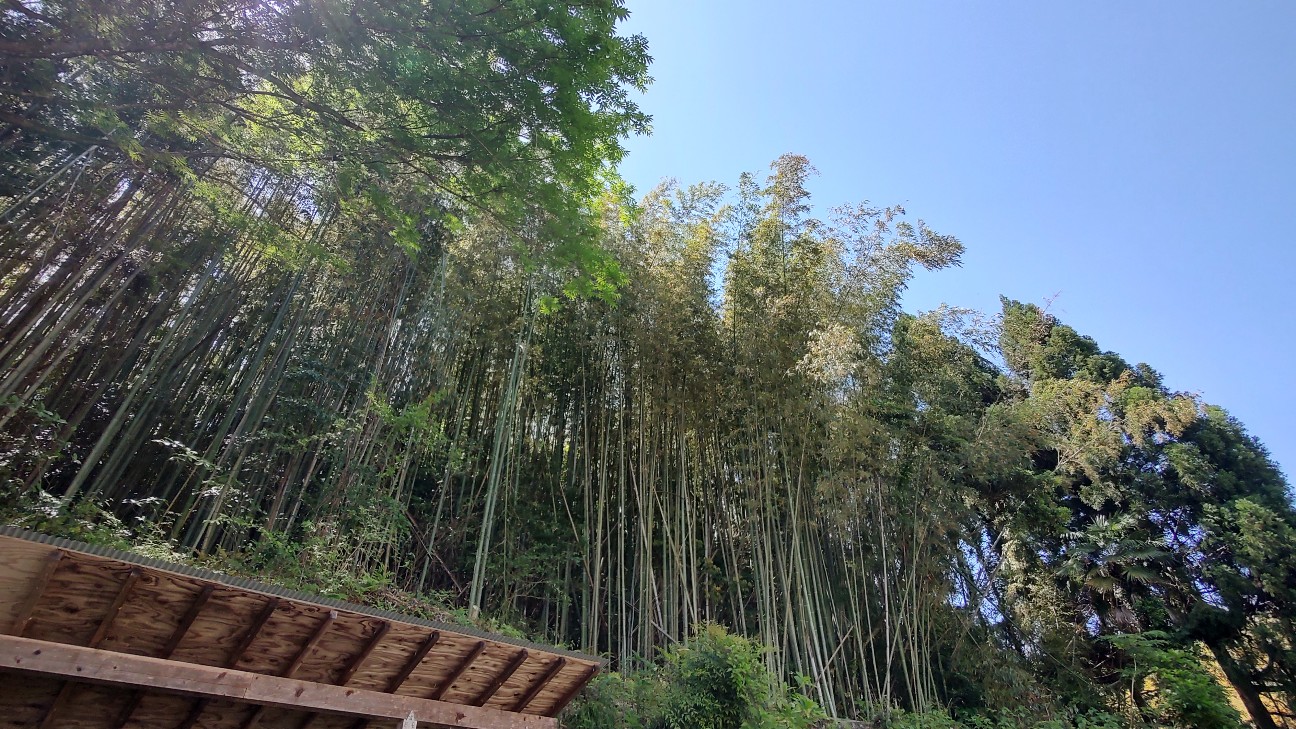 f:id:sugimoto2025:20260517120822j:image