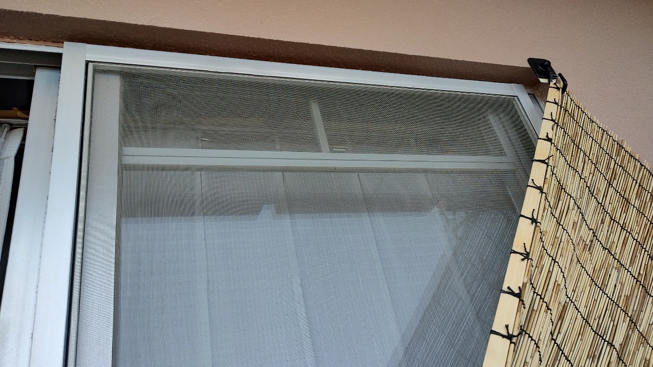 f:id:sugimoto2025:20260525170035j:image