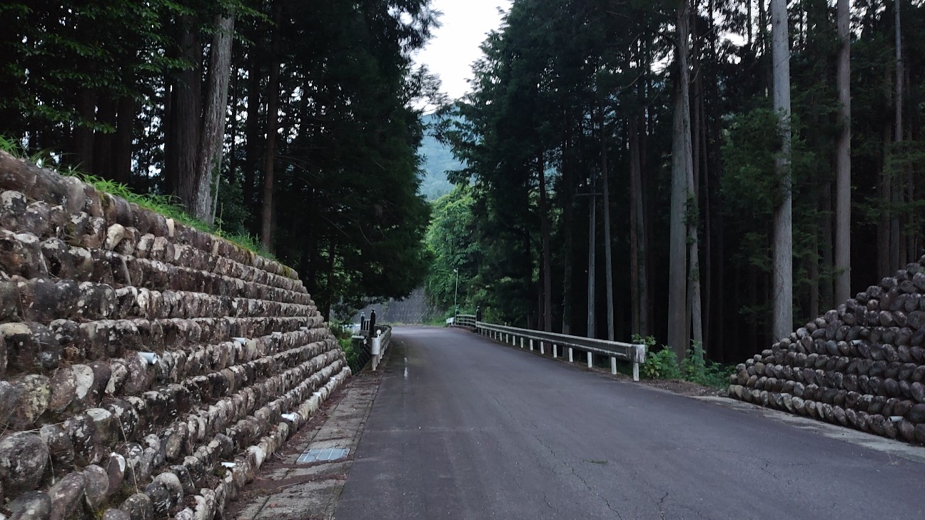 f:id:sugimoto2025:20260701212725j:image f:id:sugimoto2025:20260701212725j:image