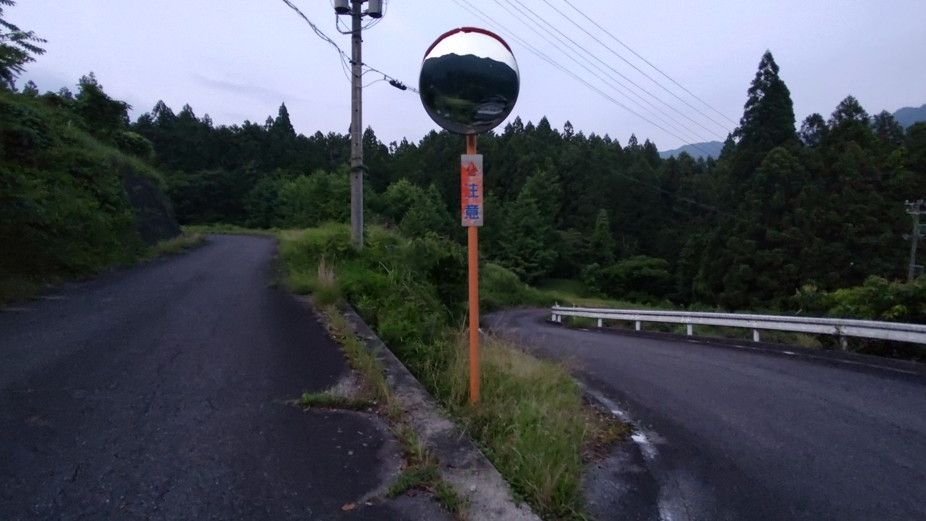 f:id:sugimoto2025:20260701212728j:image f:id:sugimoto2025:20260701212728j:image