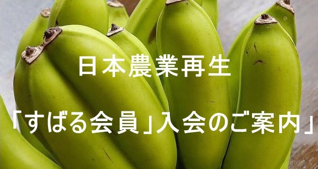 f:id:sugimuratoshio4:20180309064334j:plain