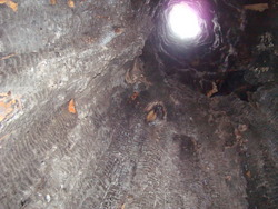 f:id:sugiryoutaro:20090329101058j:image