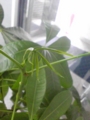 20100629115000