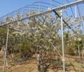 20140510160753