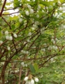20140527123638