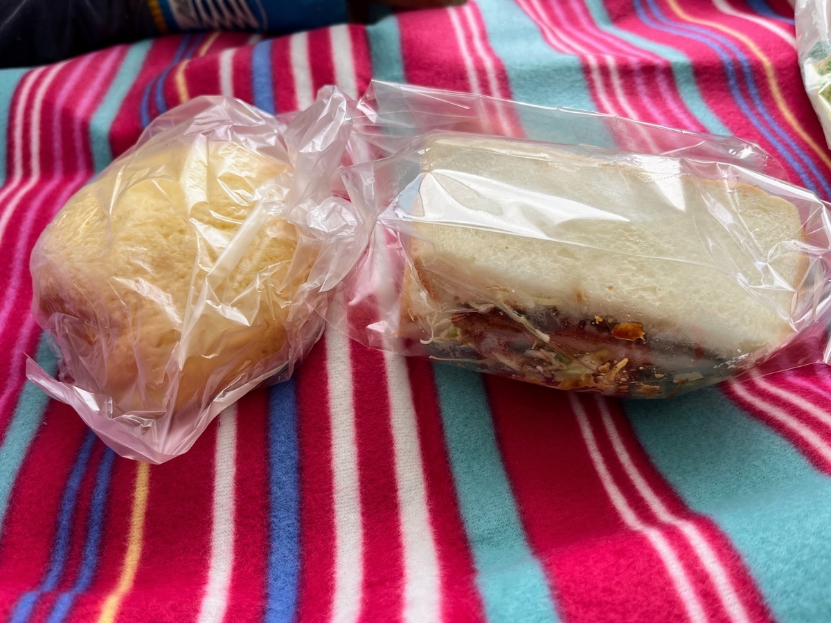 公園でパンを買って遊ぶ最近