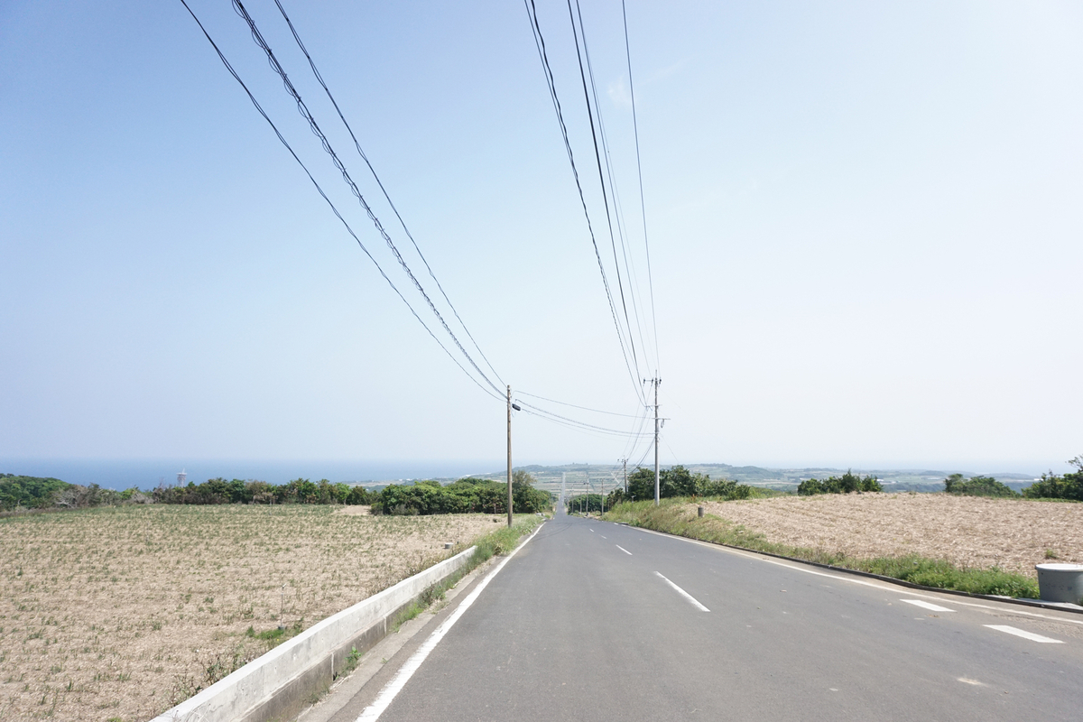 サトウキビ畑の一本道