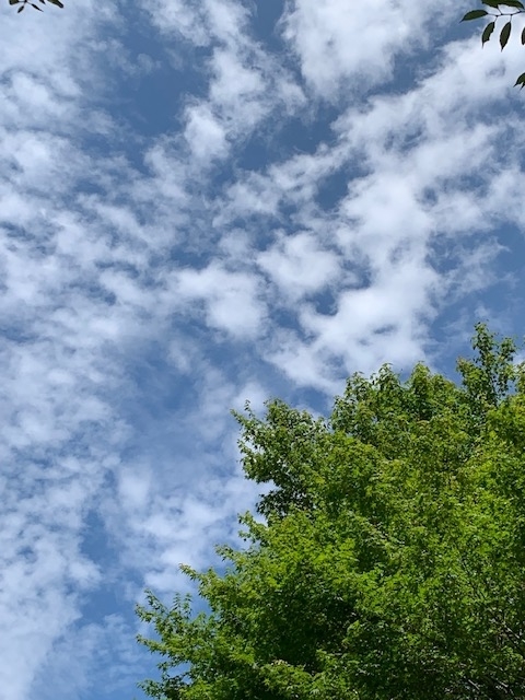f:id:sugisun_papa:20190808220300j:plain f:id:sugisun_papa:20190808220300j:plain