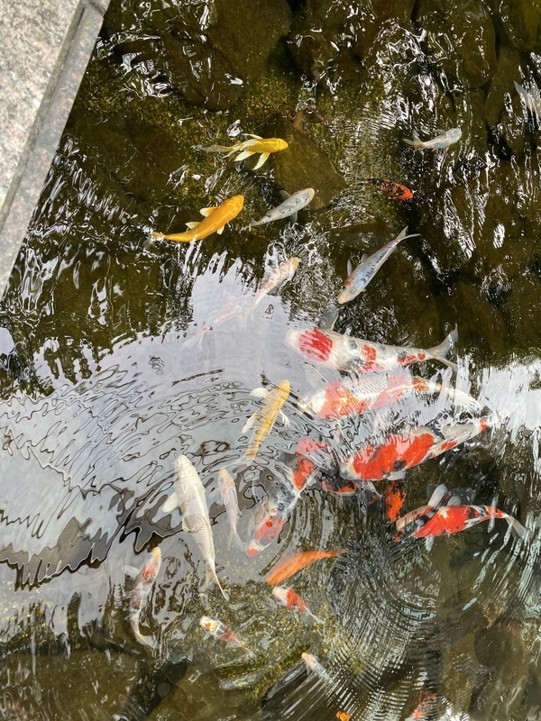f:id:sugoibai:20191009110904j:plain f:id:sugoibai:20191009110904j:plain