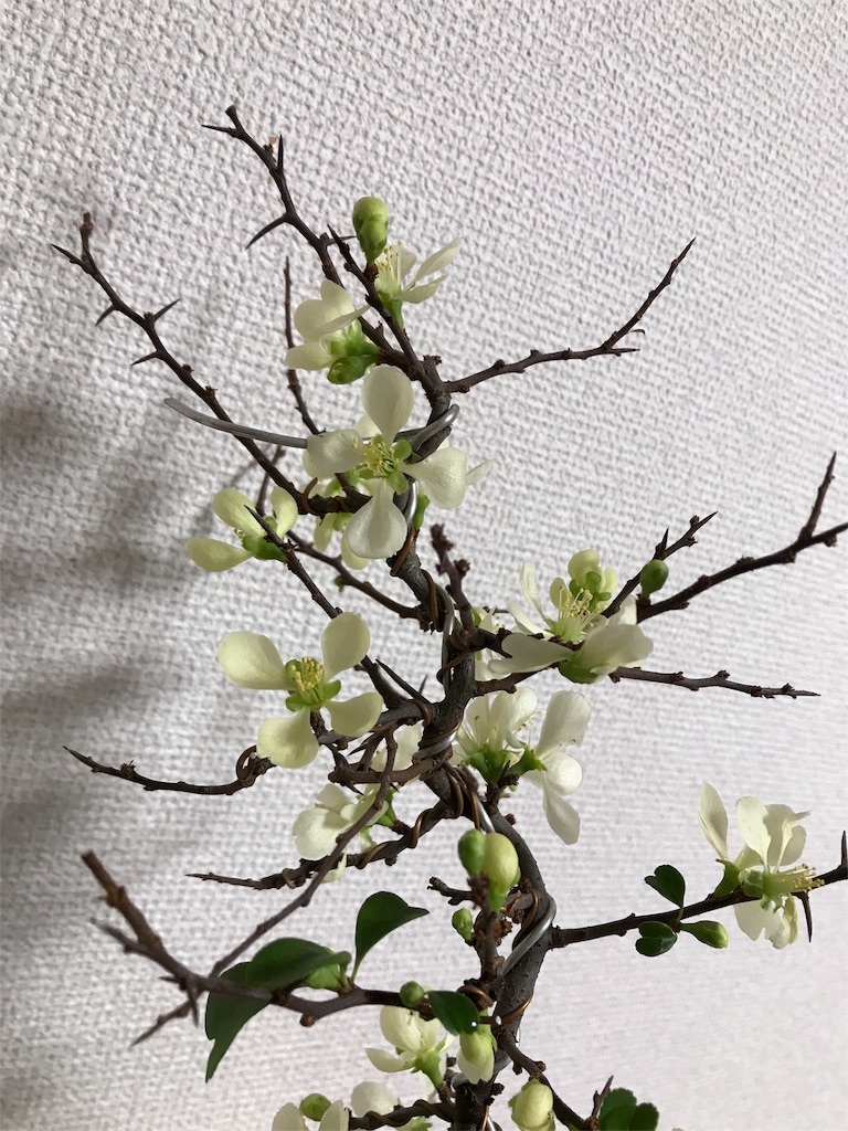 f:id:suguri-s:20180224205830j:image f:id:suguri-s:20180224205830j:image