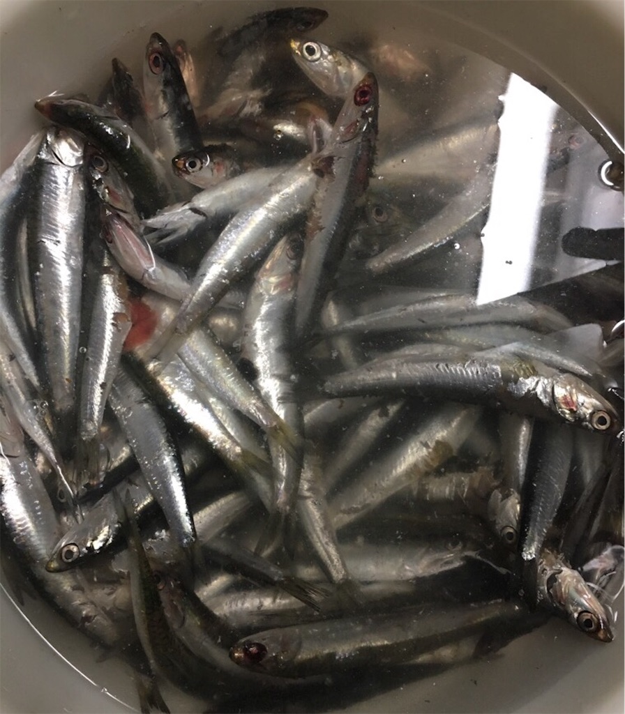 f:id:suguru-K:20190506163829j:image f:id:suguru-K:20190506163829j:image