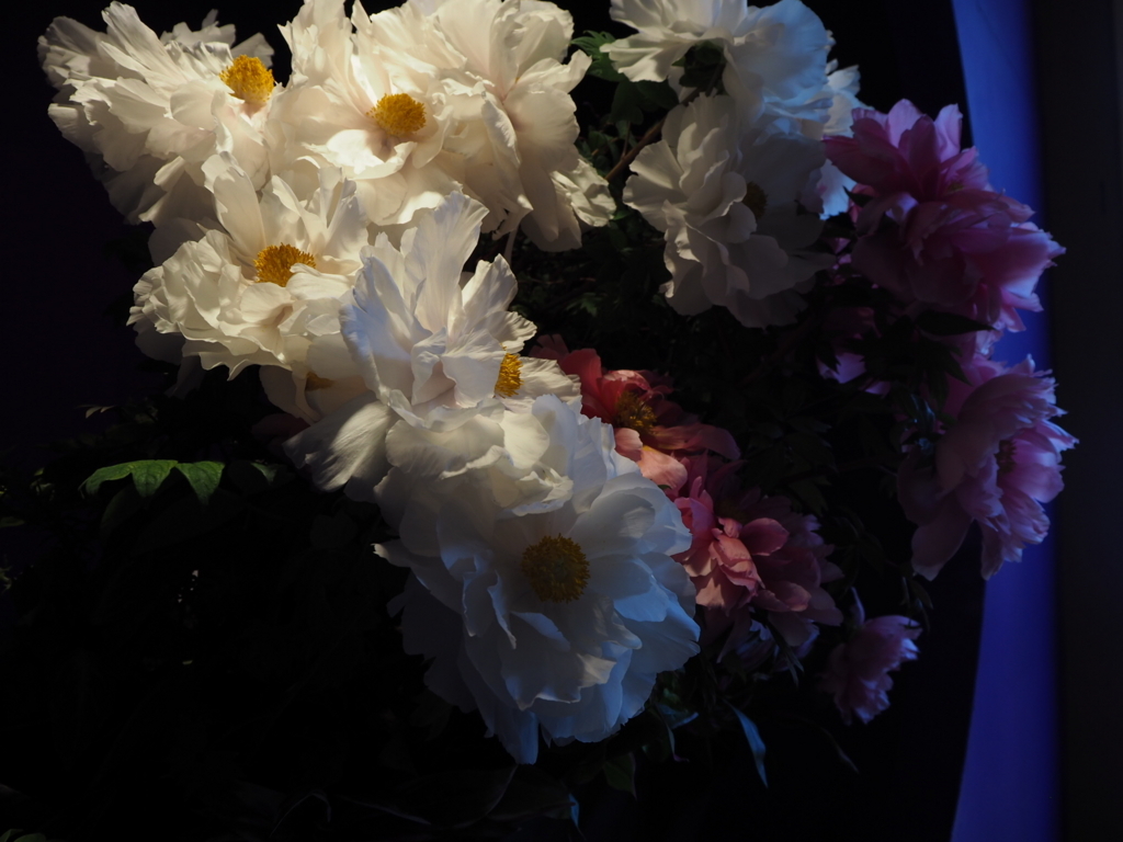 f:id:sui16:20180502233341j:plain f:id:sui16:20180502233341j:plain