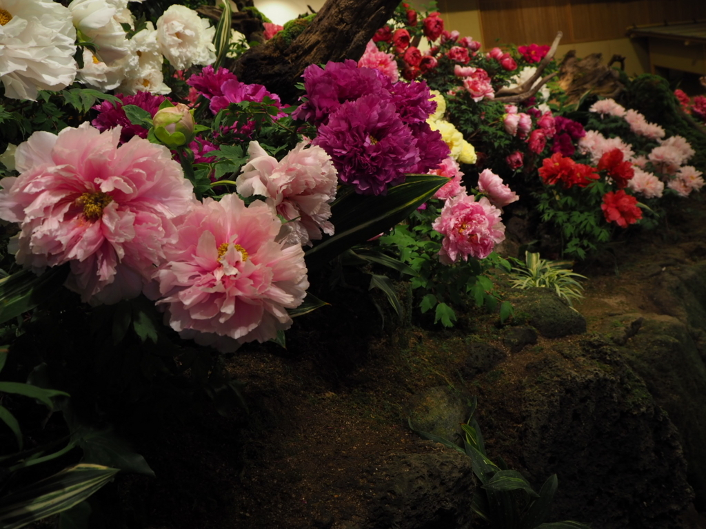 f:id:sui16:20180502234441j:plain f:id:sui16:20180502234441j:plain