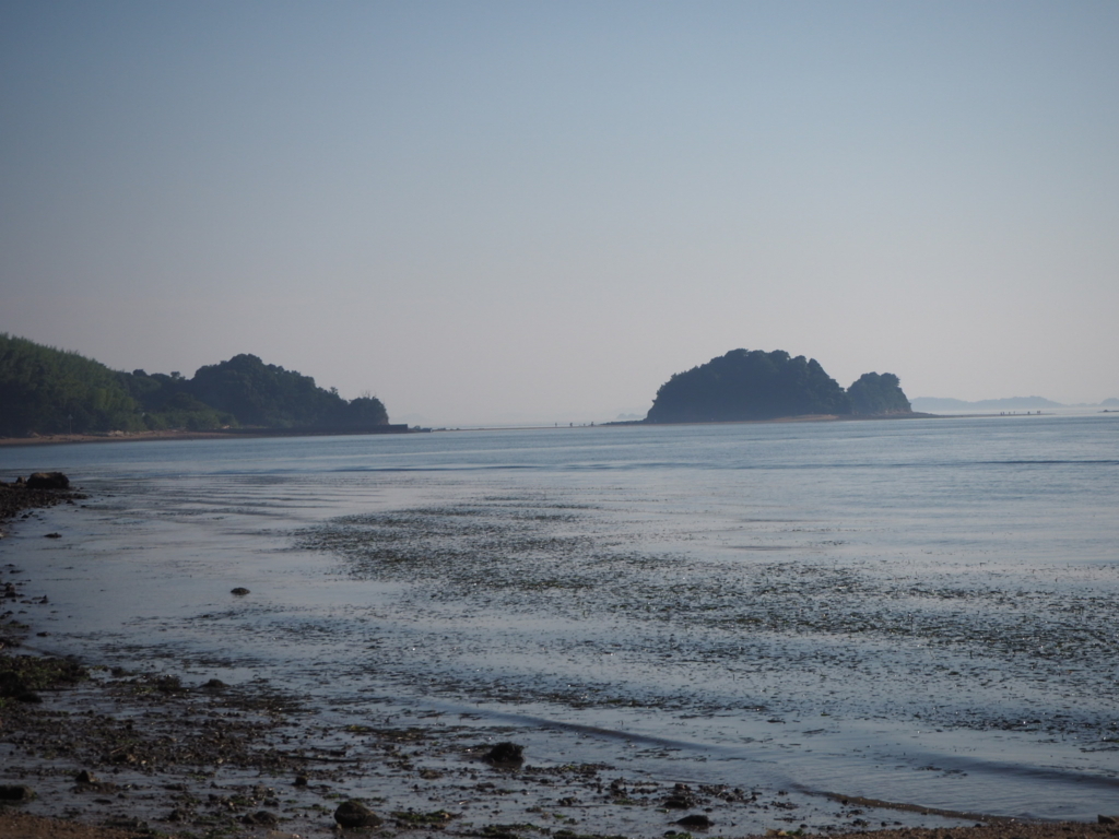 f:id:sui16:20180803102116j:plain f:id:sui16:20180803102116j:plain