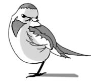 f:id:suica0516:20190522014024j:plain