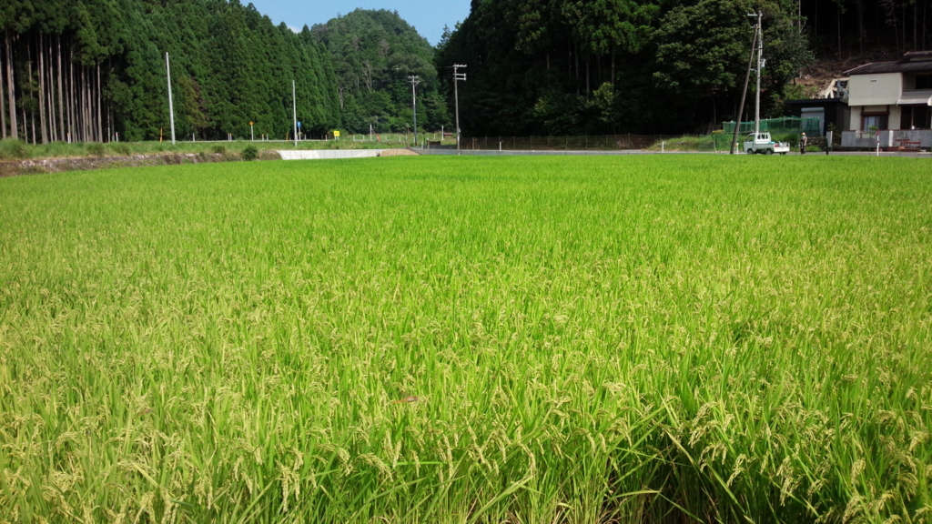 f:id:suidani:20160825231636j:plain f:id:suidani:20160825231636j:plain