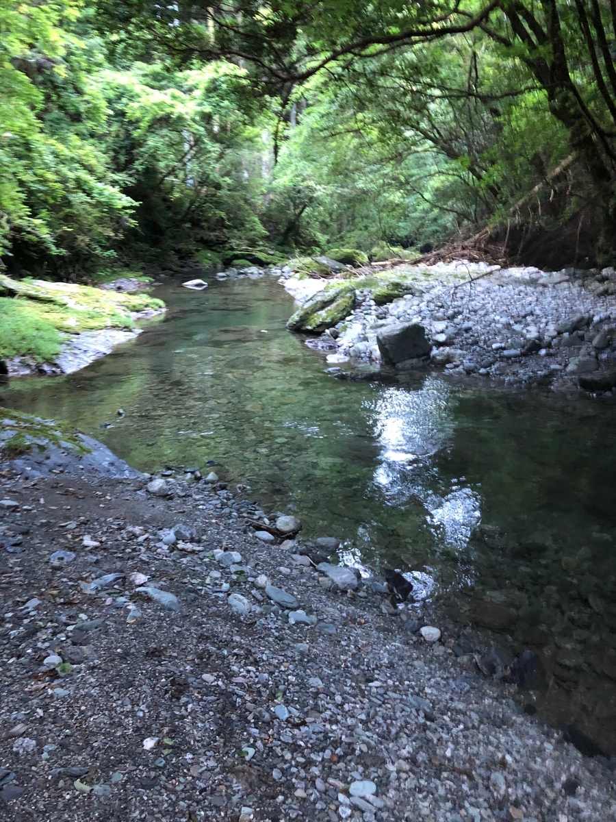 渇水の渓流で少しでも可能性を上げるために必要な３つの技術 渓流釣りでいいですか