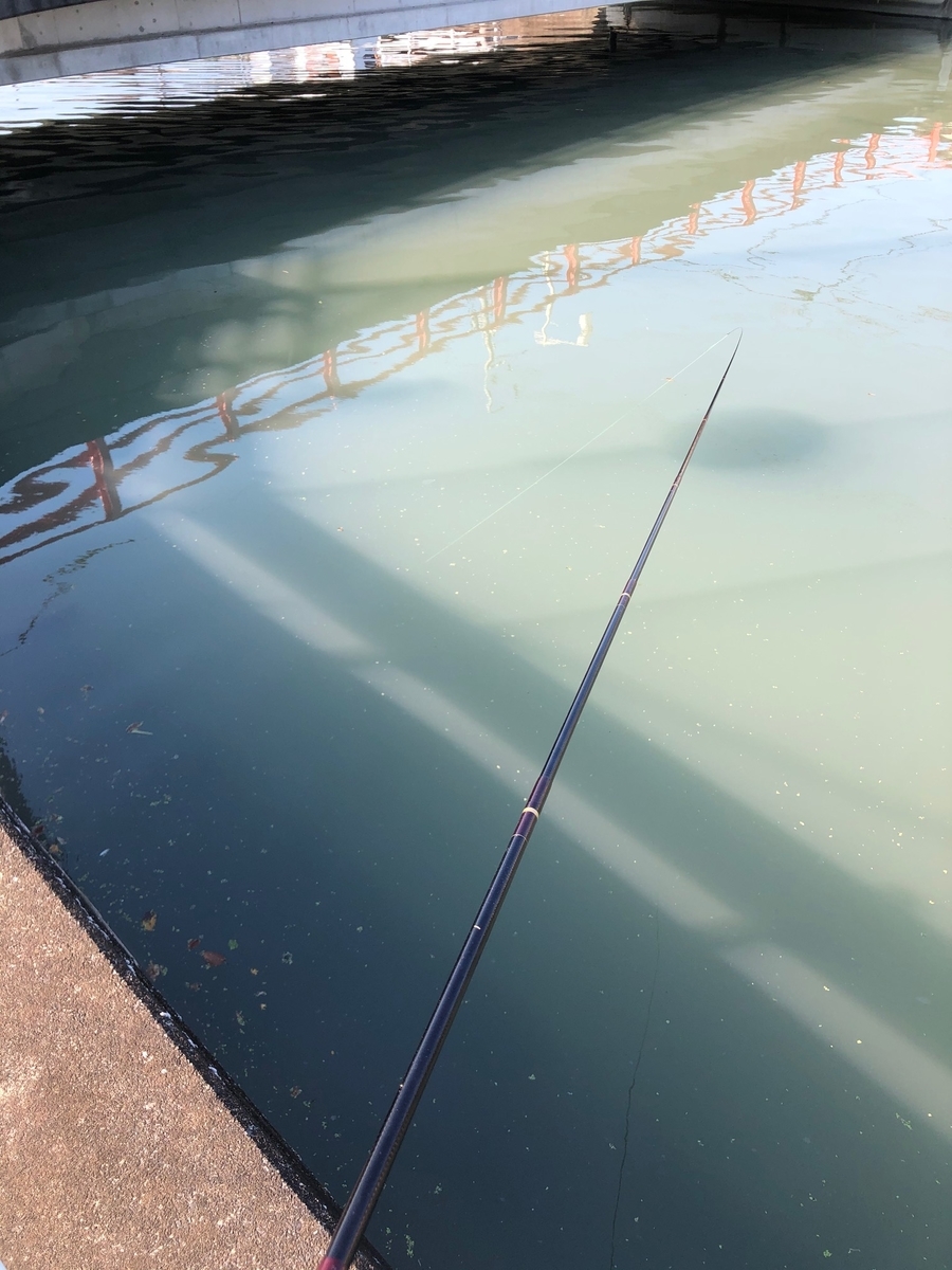 延べ竿がおすすめです ハゼ釣りの竿は何を使えばいいのか 渓流釣りでいいですか