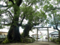 [風景]10.07.15　補陀洛山寺