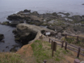 [風景]2011.05.03　城ヶ島