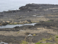 [風景]2011.05.03　城ヶ島