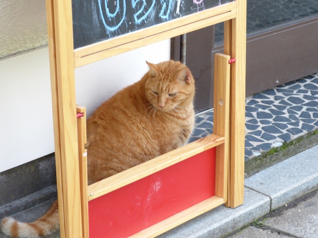 f:id:suijun-hibisukusu:20121022212130j:image