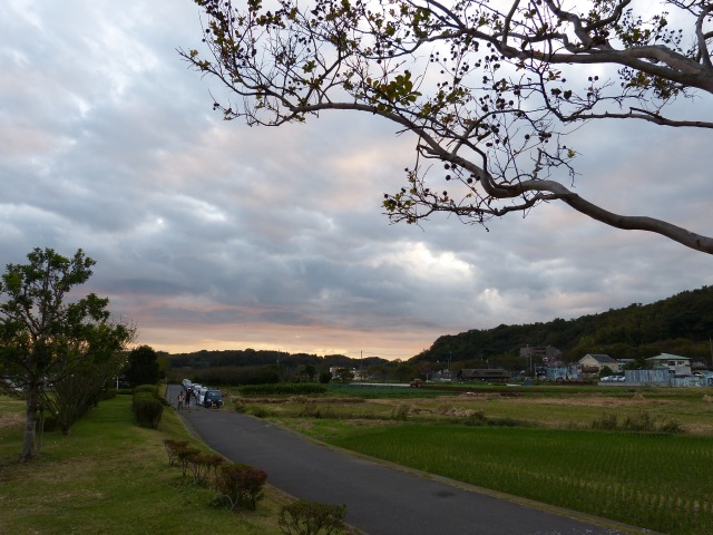 f:id:suijun-hibisukusu:20121031212529j:image