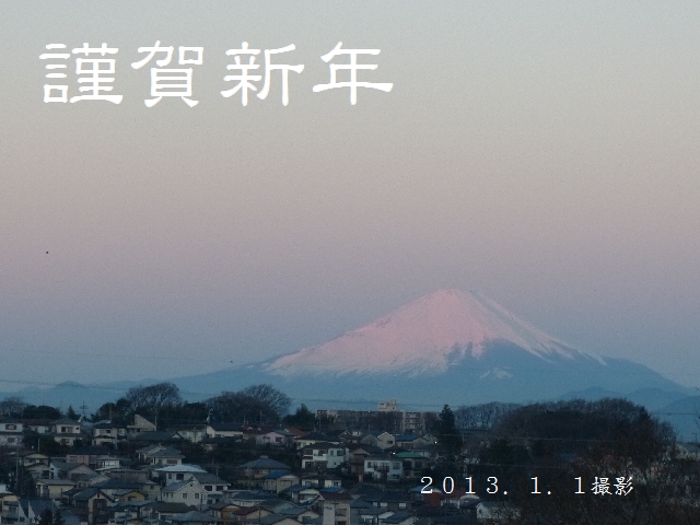 f:id:suijun-hibisukusu:20130101155251j:image f:id:suijun-hibisukusu:20130101155251j:image