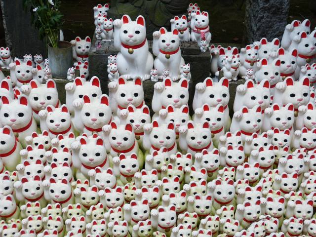 f:id:suijun-hibisukusu:20131002215844j:image