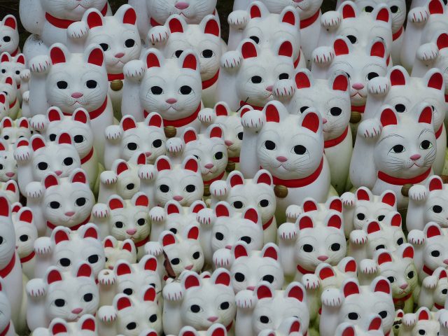 f:id:suijun-hibisukusu:20131002215845j:image