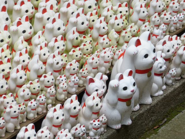 f:id:suijun-hibisukusu:20131002215846j:image