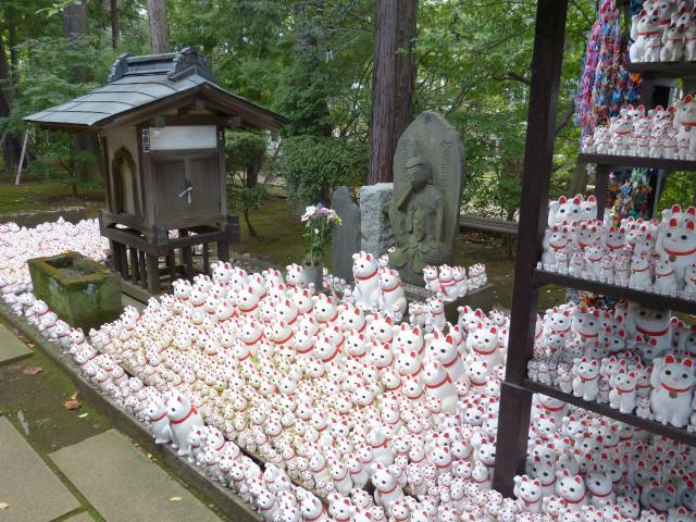 f:id:suijun-hibisukusu:20131002215847j:image