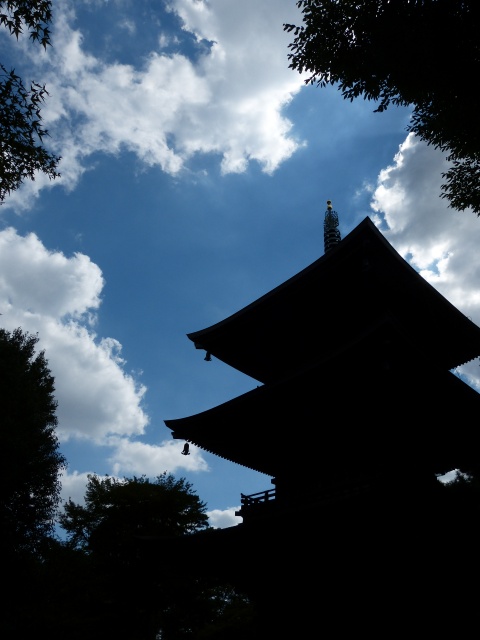 f:id:suijun-hibisukusu:20131002215923j:image