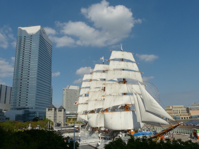 f:id:suijun-hibisukusu:20131005213105j:image