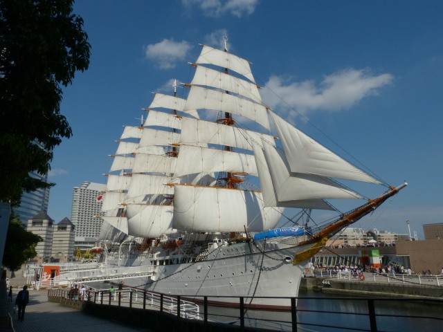 f:id:suijun-hibisukusu:20131005213108j:image