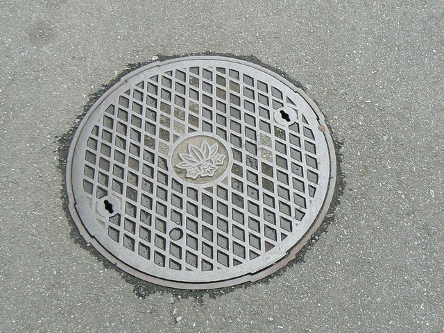 f:id:suijun-hibisukusu:20131006205142j:image