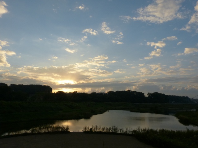 f:id:suijun-hibisukusu:20131007215643j:image