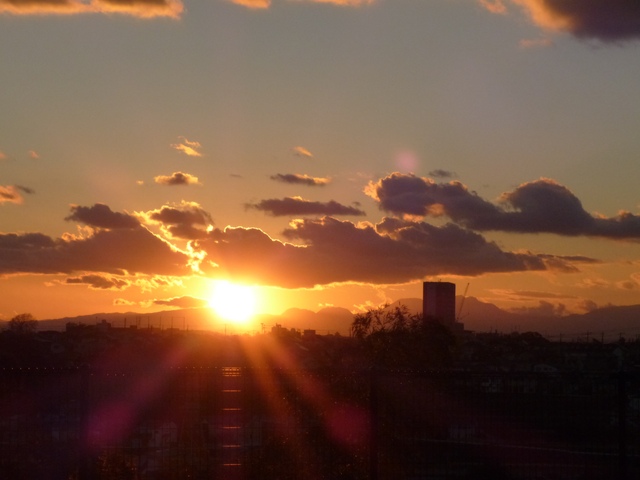 f:id:suijun-hibisukusu:20140111223745j:image f:id:suijun-hibisukusu:20140111223745j:image