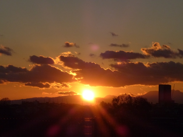 f:id:suijun-hibisukusu:20140111223746j:image f:id:suijun-hibisukusu:20140111223746j:image