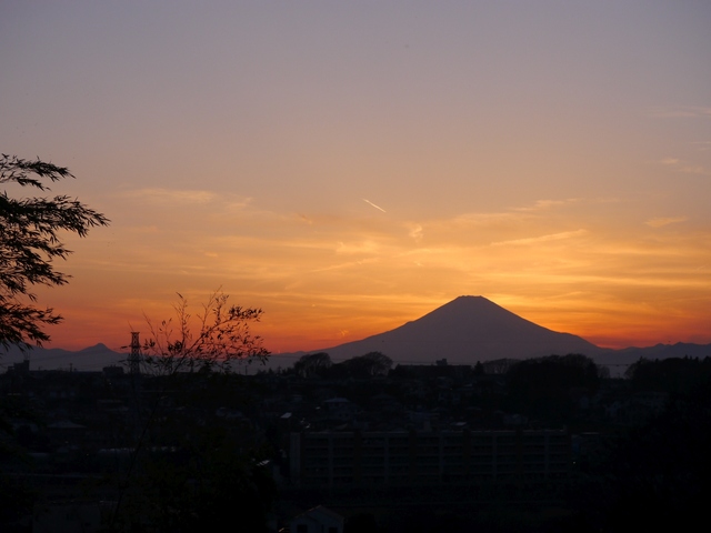 f:id:suijun-hibisukusu:20160321224202j:image