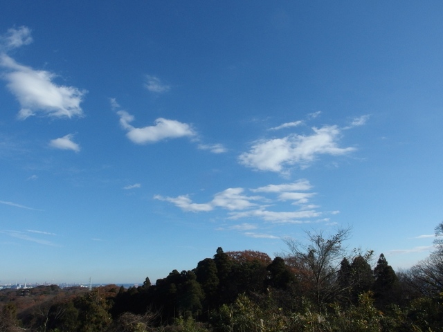 f:id:suijun-hibisukusu:20161218225159j:image f:id:suijun-hibisukusu:20161218225159j:image