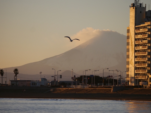 f:id:suijun-hibisukusu:20170123232329j:image