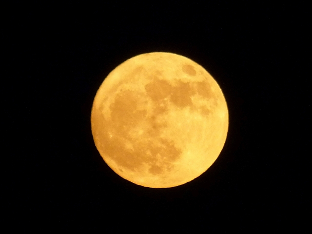 f:id:suijun-hibisukusu:20171203222418j:image