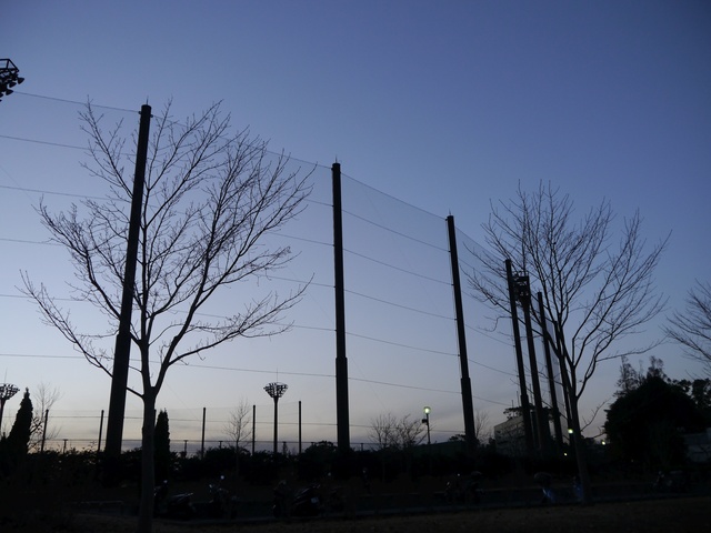 f:id:suijun-hibisukusu:20171220224701j:image