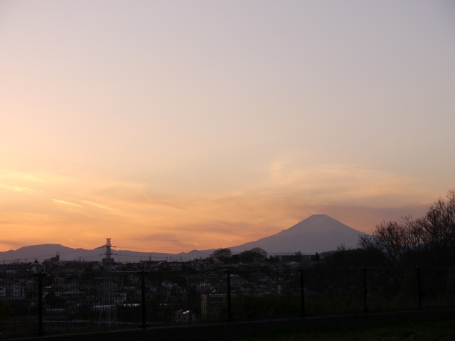 f:id:suijun-hibisukusu:20171220224705j:image