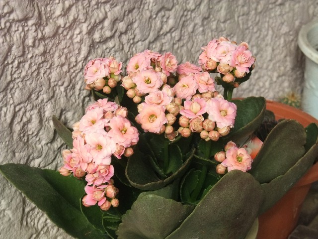 f:id:suijun:20111109225009j:image